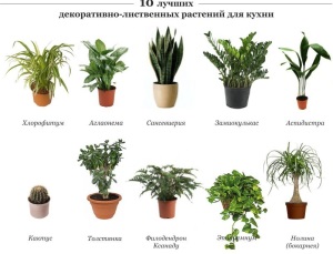 Искусственные растения для домашнего интерьера